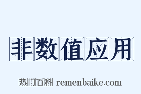 非数值应用是什么意思的图片